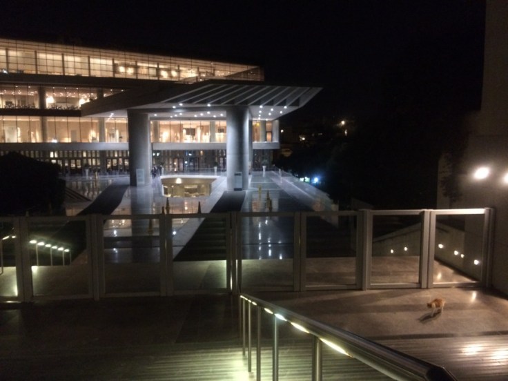 Chat roux au pied des escaliers descendant au musée de l'Acropole, bâtiment moderne éclairé pour la nuit.