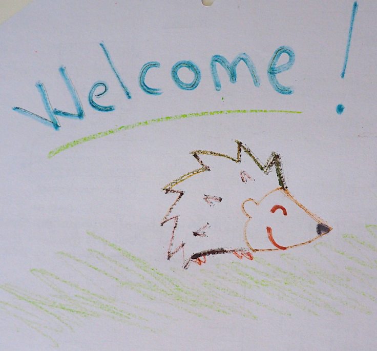 Dessin de hérisson souriant sous la mention "welcome !"