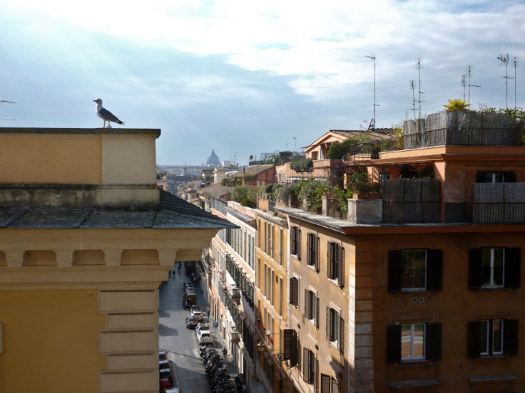 Vue de haut d'une rue de Rome avec un goéland au premier plan à gauche et la coupole de Saint-Pierre dans le fond.