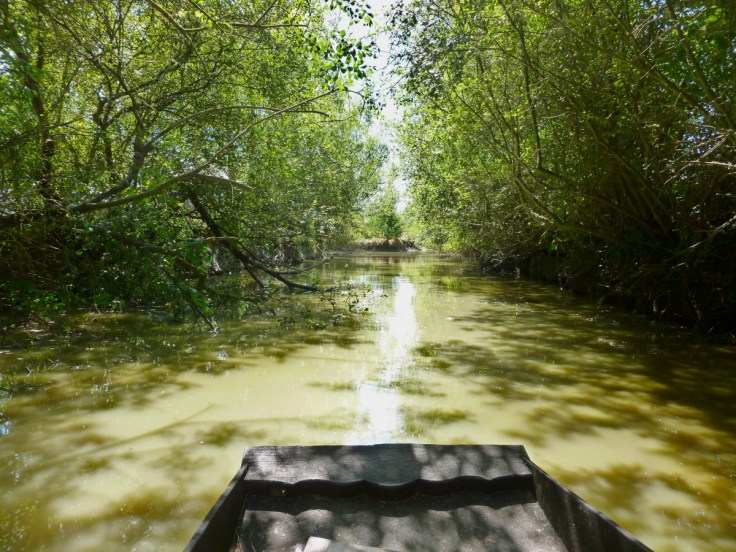 le marais breton vendéen vu depuis la yole