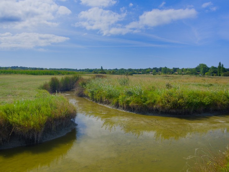 étiers dans le marais breton vendéen, sous le soleil