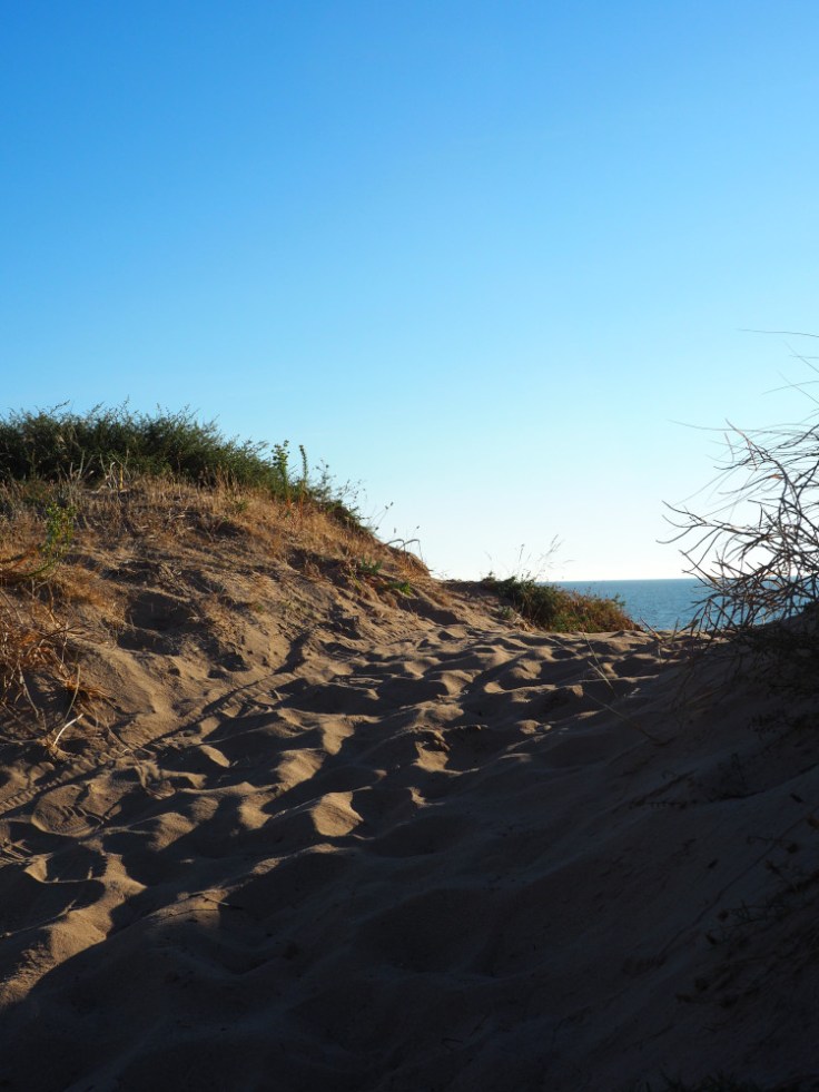 Chemine au sommet d'une dune, océan en arrière-plan