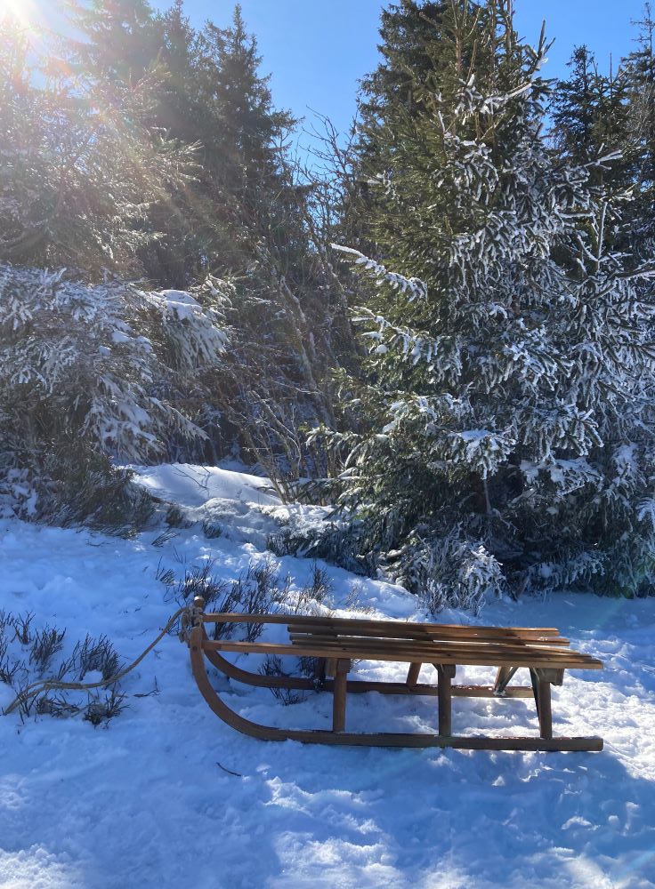 luge en bois soleil Vosges