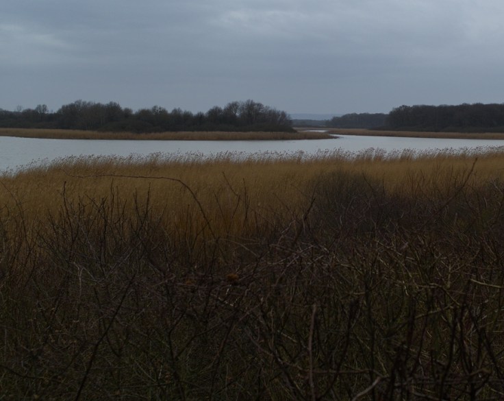Etang de Lachaussée hiver gris