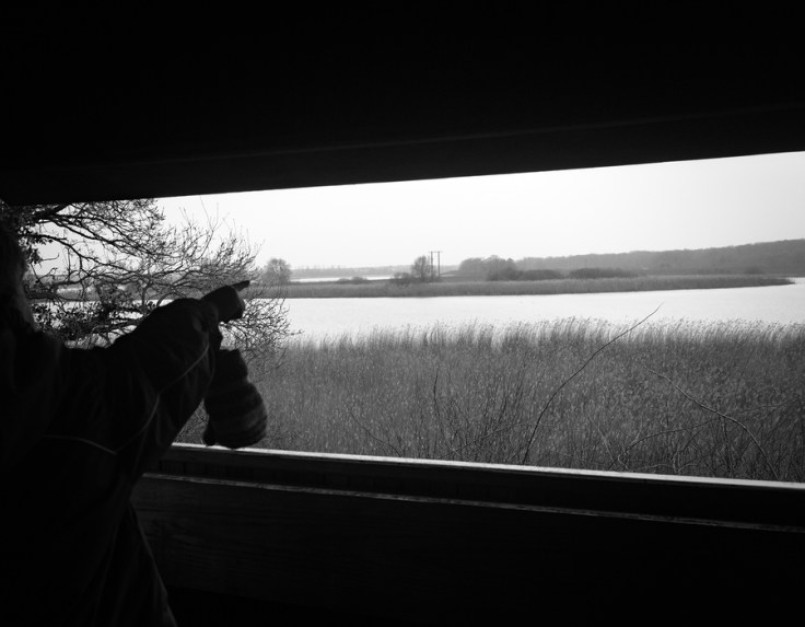 doigt d'enfant pointant paysage naturel étang