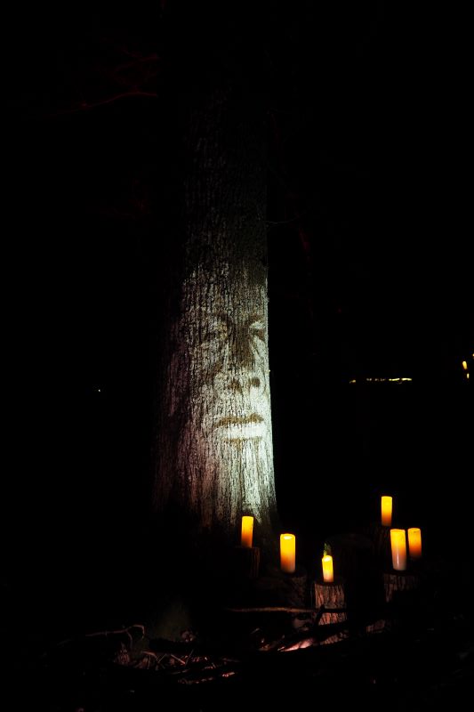Tronc d'arbre illuminé d'un visage dans l'obscurité